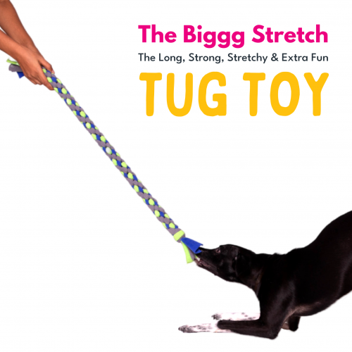TUGS – For the love of Dog