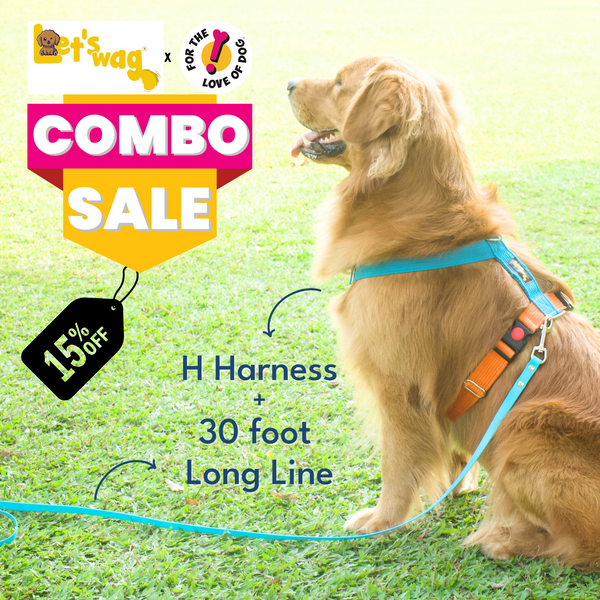 Long Line & H Harness COMBO