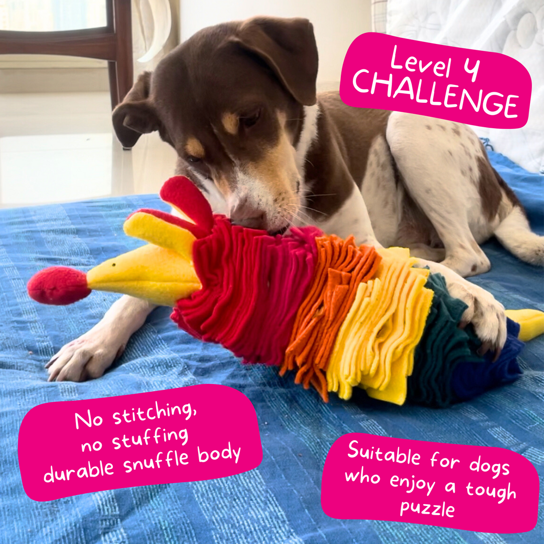 Easy Diy Diy Durable Dog Toys 47 Fun Gifts For Dog Lovers